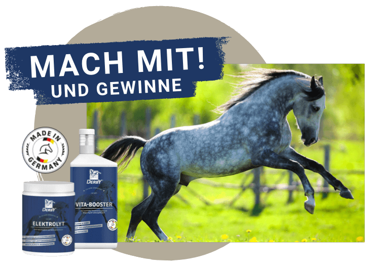 chio aachen derby veranstaltung gewinnspiel